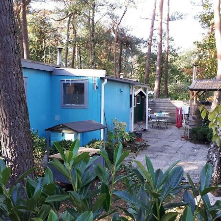 Boshuis Turquoise / Smaakvol Genieten Op De Veluwe Хундерло Экстерьер фото