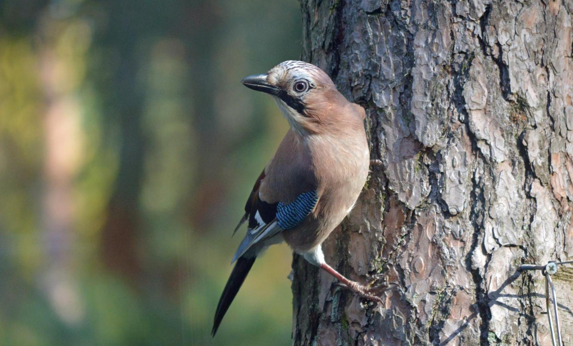 Boshuis Turquoise / Smaakvol Genieten Op De Veluwe Хундерло Экстерьер фото