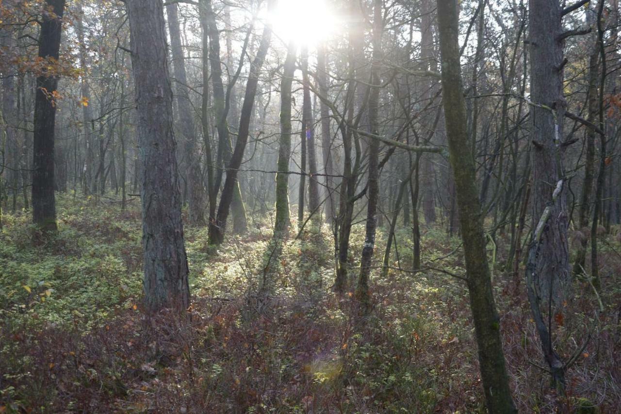 Boshuis Turquoise / Smaakvol Genieten Op De Veluwe Хундерло Экстерьер фото