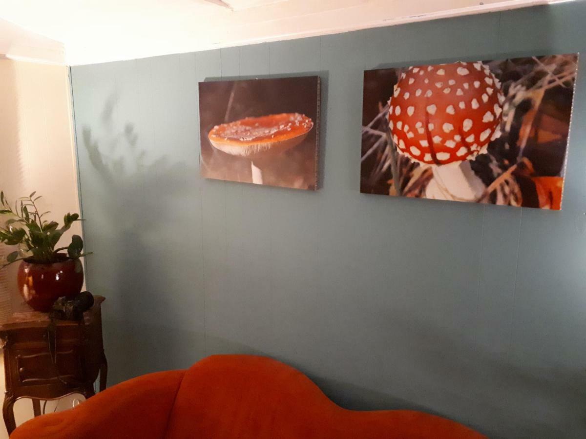 Boshuis Turquoise / Smaakvol Genieten Op De Veluwe Хундерло Экстерьер фото