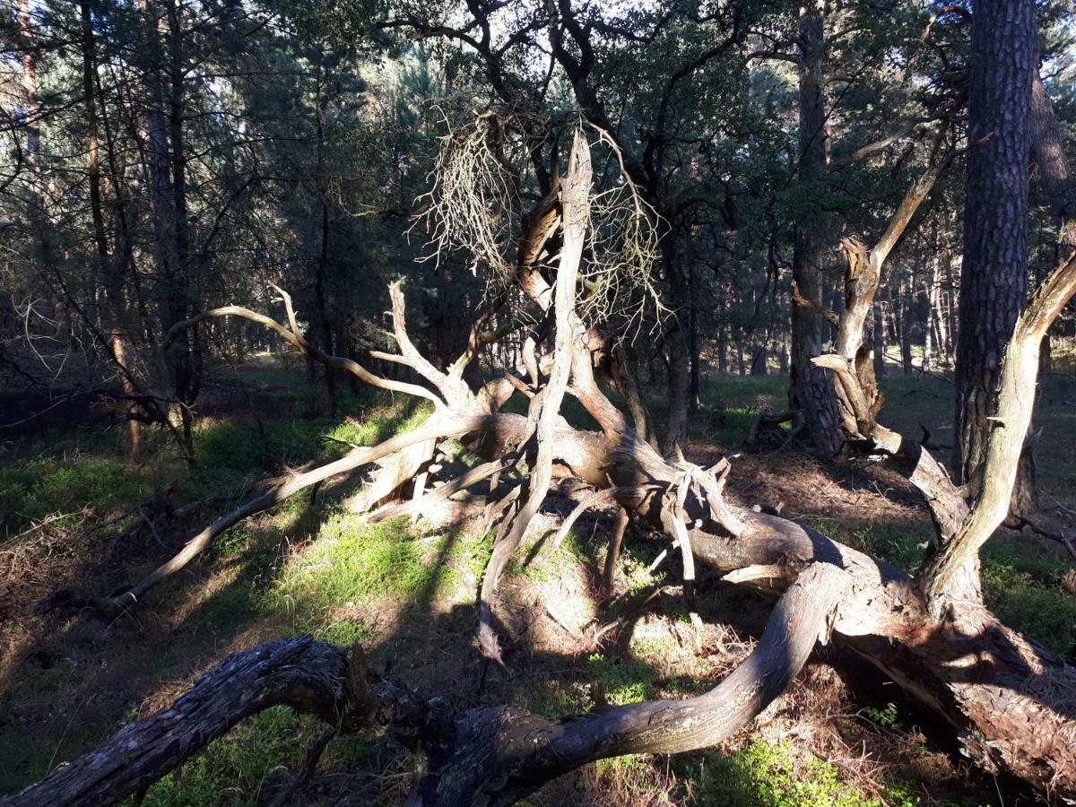 Boshuis Turquoise / Smaakvol Genieten Op De Veluwe Хундерло Экстерьер фото